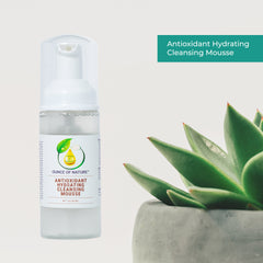 Antioxidant Hydrating Cleansing Mousse